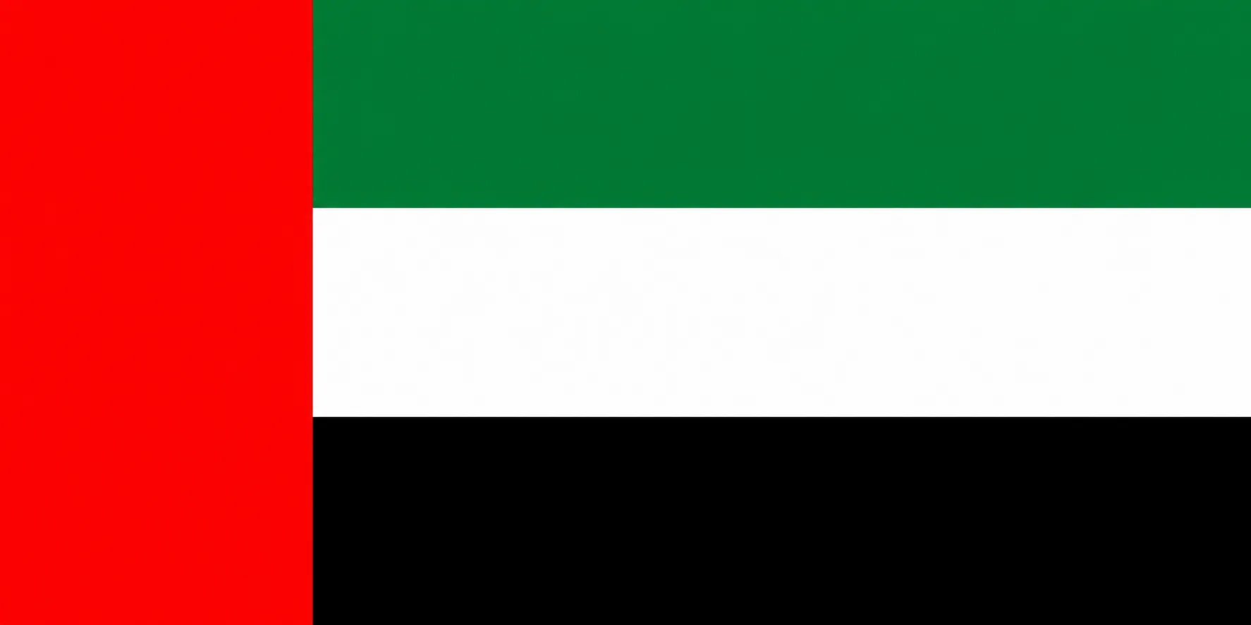 Dubai flag